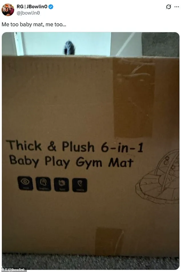 Abby and Brittany Hensel's Surprising Photo with Baby in Tesla Highlights Resilience and Public Reaction