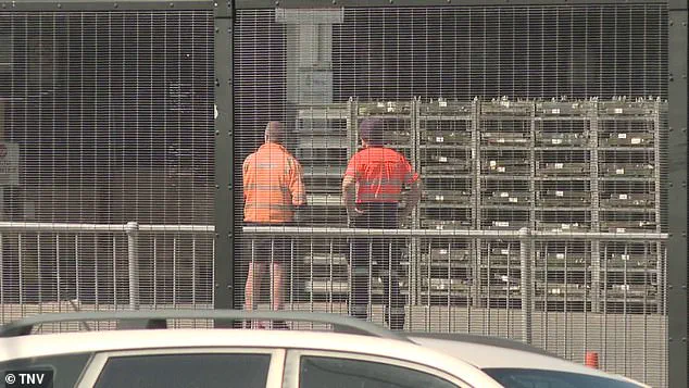 Sydney Airport Tragedy: Freight Handler Killed in Vehicle Incident, Investigation Launched