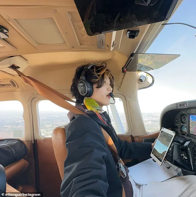 Unauthorized Flight in Antarctica by American Influencer Sparks International Legal Dispute