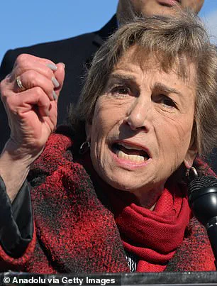 Generational War Erupts in Democratic Party as Old Guard Clashes with Rising Generation Over Party's Future