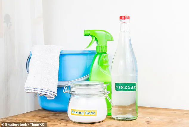 Government Regulations Aim to Tackle Rising Drainage Issues in Homes