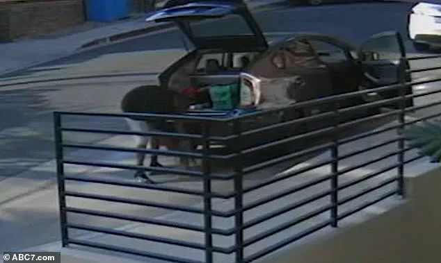 Food Delivery Driver Allegedly Steals Tabby Cat from West Hollywood Home, Surveillance Video Shows