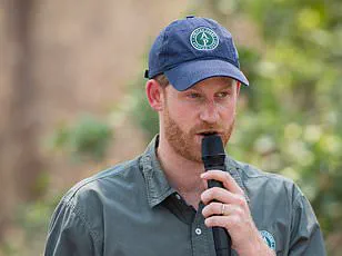 Chad's Environment Ministry Accuses Prince Harry's African Parks Charity of Neocolonialism, Ends 15-Year Partnership