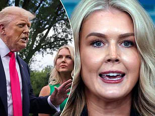 RFK Jr.'s HHS Appointment Under Scrutiny: Debate Over Medical Credentials and Impact on Public Health Expertise