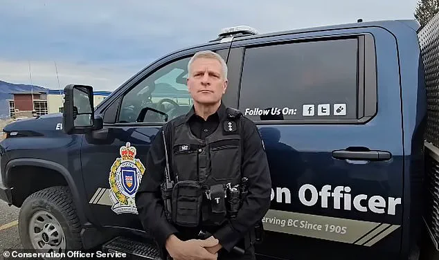 Grizzly Bear Still At Large After Attacking Canadian School, Leaving 11 Injured