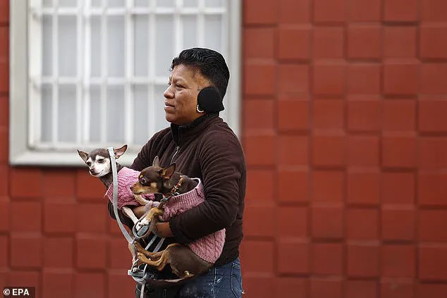 6.5 Magnitude Earthquake Shakes Mexico Near Acapulco, Disrupts Presidential Press Briefing