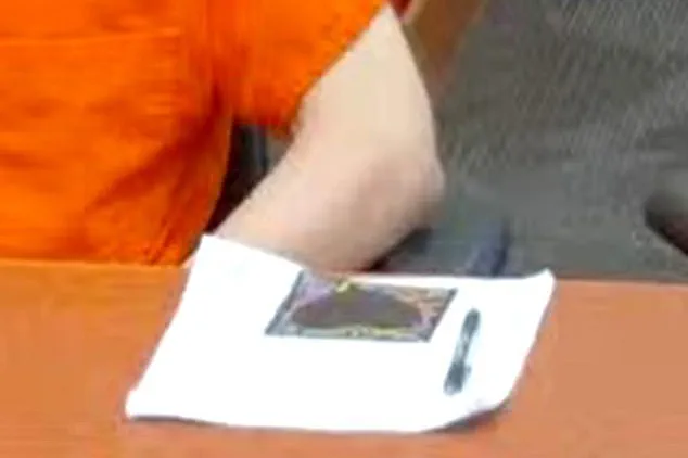 Melissa Kohberger's Brother's Black Heart Drawing: A Symbol of Family's Desperation Amid Tragedy