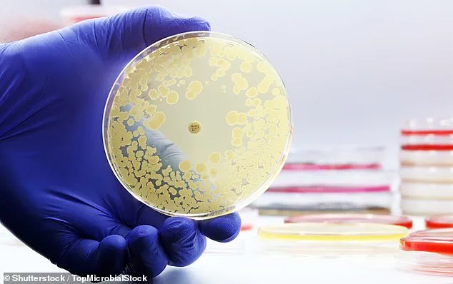 Calls for Increased Oversight as Study Reveals Health Risks in Airline Drinking Water, Expert Advisories Urge Regulatory Action