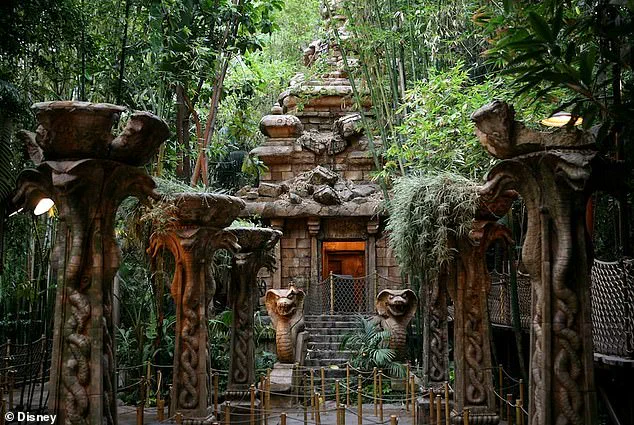 Disneyland Altercation Leaves Father with Facial Stitches, Highlighting Crowd Management Challenges