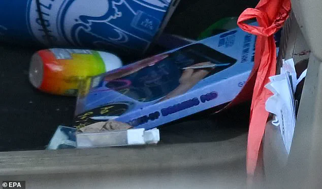 Controversy Surrounds ICE Agent's Shooting of Poet Renee Nicole Good Amid Domestic Terrorism Claims