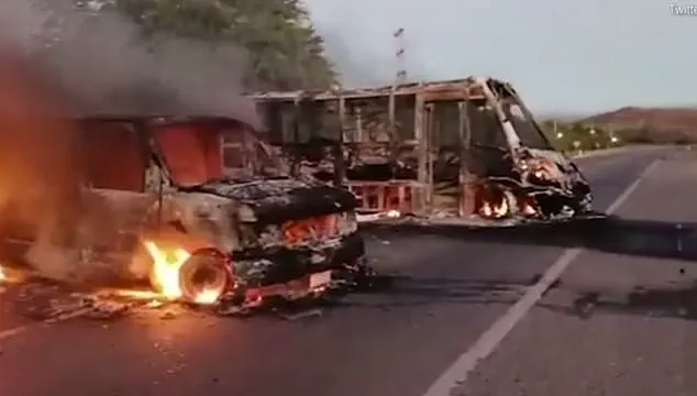 Cartel Violence in Mexico: Daily Brutality and Rising Civilian Casualties