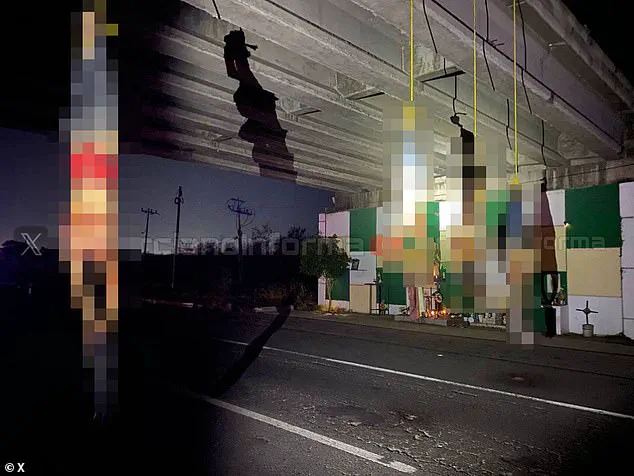 Cartel Violence in Mexico: Daily Brutality and Rising Civilian Casualties