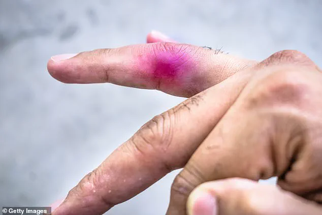 Exclusive: Inside the Unusual Legal Battle Between Two Alberta Boys Over a Toy Dinosaur Incident