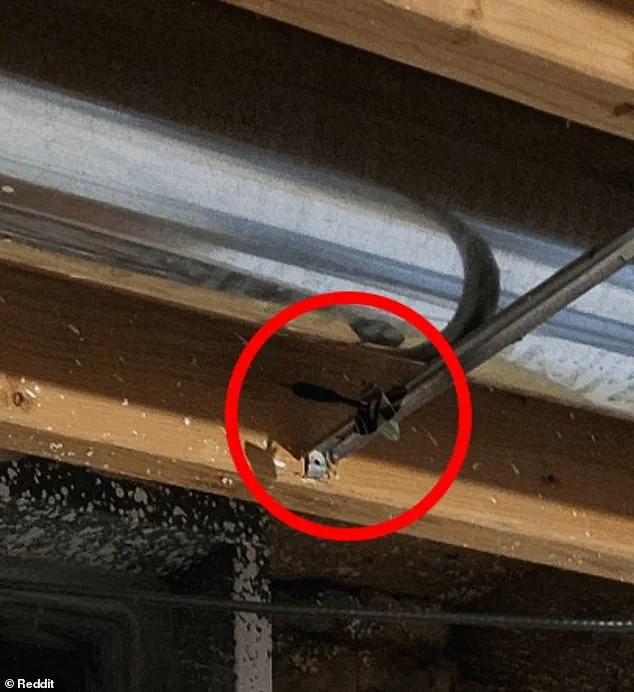 Global Puzzle-Solving Frenzy Erupts as Reddit Users Hunt for Elusive Third Dart in Mysterious Image