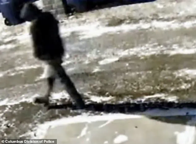 Tragic Double Homicide Shakes Columbus Community: Family of Monique and Spencer Tepe Speaks Out After Ex-Husband's Arrest