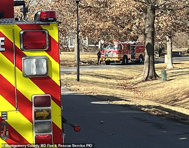 A 'Neglected Heat Lamp' Sparks Devastation: Maryland Mansion Fire Raises Safety Concerns