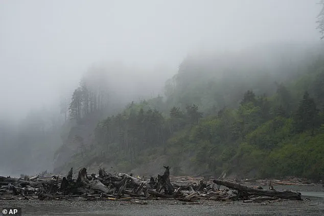 Decades-Long Mystery of Skeletal Remains Washed Ashore on Washington Beach Finally Solved: Identity Revealed as Clarence Edwin 'Ed' Asher, Former Mayor of Fossil, Oregon
