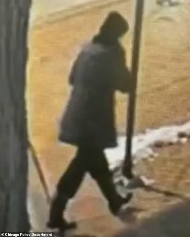 Exclusive Access and a Tragic End: The Search for Linda Brown and the Information That Remained Hidden