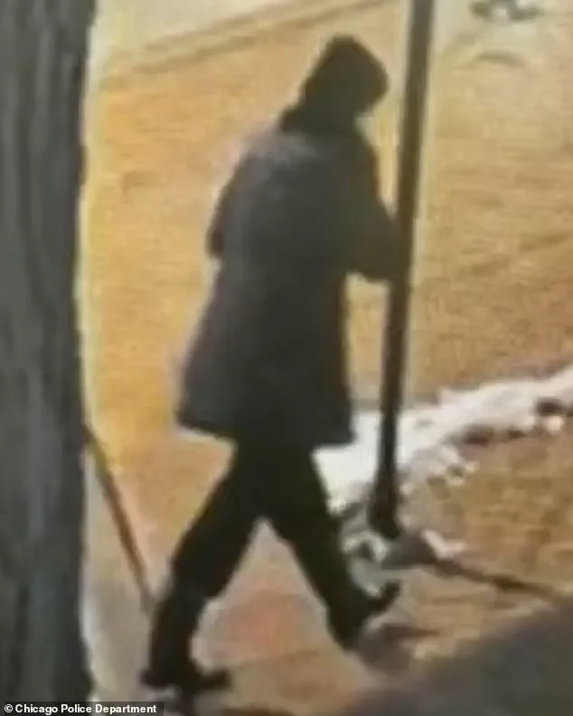 Tragic Suicide of Chicago Special Education Teacher Found Drowned in Lake Michigan After 10-Day Search