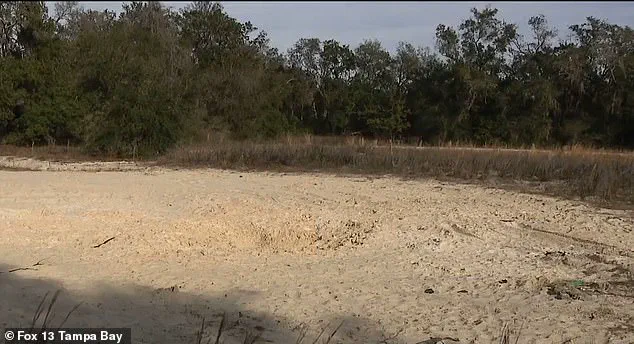 Two 14-Year-Old Friends Killed in Florida Sand Collapse After Digging Hole for Two Weeks