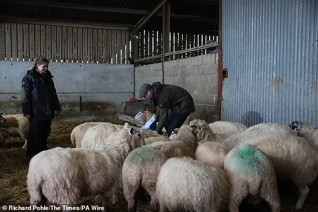 Prince William Highlights Mental Health Challenges in Rural Farming Communities During Hands-On Visit to Herefordshire Farm