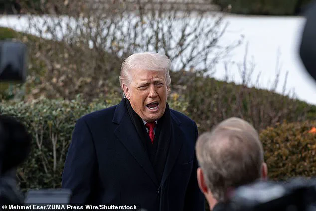 Trump's Tariff Threat to NATO Allies Over Greenland Sparks Sharp International Criticism