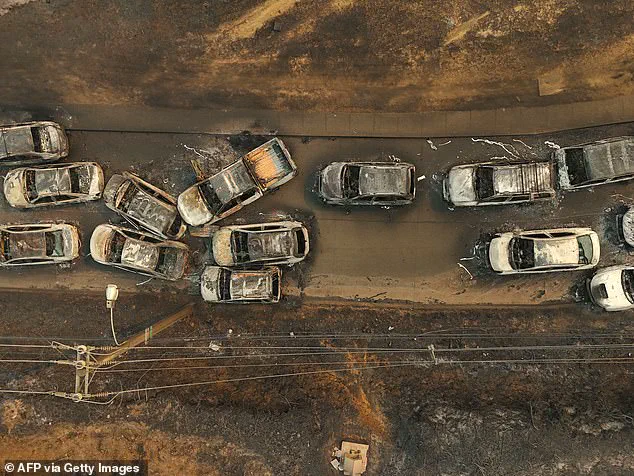 Chile's Wildfires Displace Thousands and Claim Lives in Worst Blazes in Years