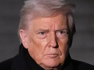 Controversial TikTok Satire Sparks Cross-Cultural Tensions Between Greenland and the U.S.