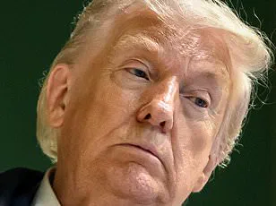 Behind Closed Doors: How Trump's Foreign Policy Missteps Reveal a Lack of Access to Critical Intelligence