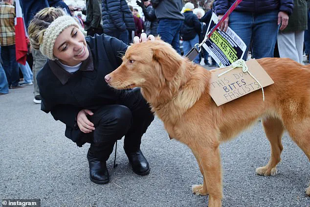 Democratic Congressional Candidate Faces Scrutiny After Missing Key Event Due to Narcolepsy