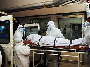 Deadly Nipah Virus Outbreak Prompts Urgent Public Health Measures in West Bengal