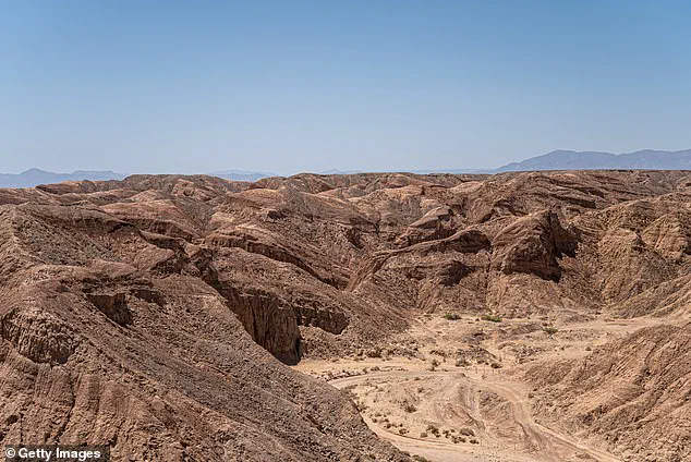 Fighting for Her Life: Mother's Dune Buggy Crash Ignites Community Support in California Desert