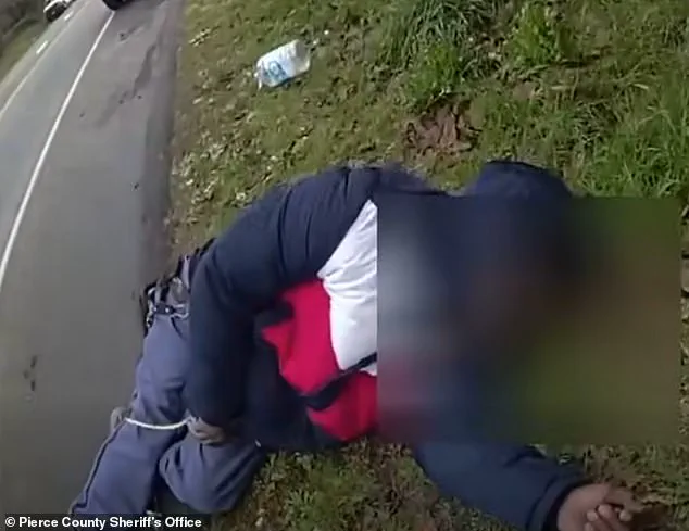 Heroic Sheriff's Deputy Rescues Injured Mail Truck Driver After Crash in Parkland, Washington