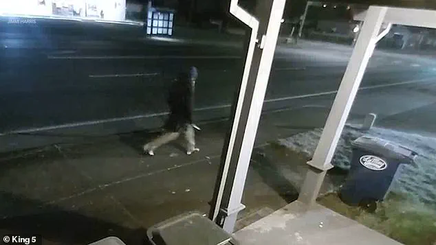 Violent Confrontation in Parkland Sparks Debate Over Religious Beliefs in Public Spaces