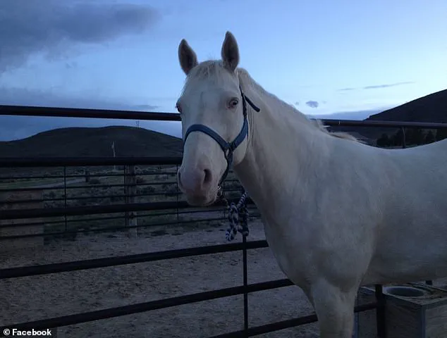 Chilling Ritual: Man Allegedly Sacrifices Horse to Honor Gang Member in Shocking Murders