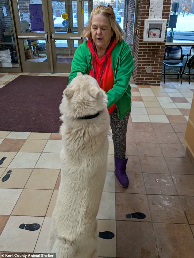 ‘I wouldn’t give up on him,’ Julie says, recounting her year-long quest to find Walker, the white puppy who brought her hope after a year of heartbreak.