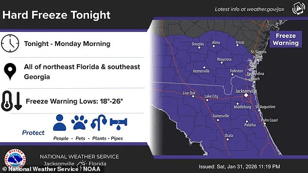 Florida's Unprecedented Cold Snap Disrupts Daily Life and Challenges Climate Norms