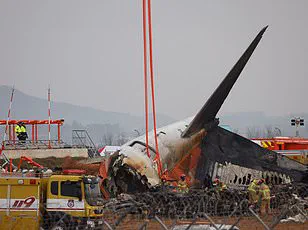 Pilot's Quick Thinking Avoids Hawk Collision During Takeoff, Underscoring Aviation Safety