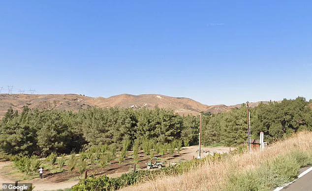 Disney's Secret Gold Oak Ranch: A Hidden Hub for Film and Ride Innovation