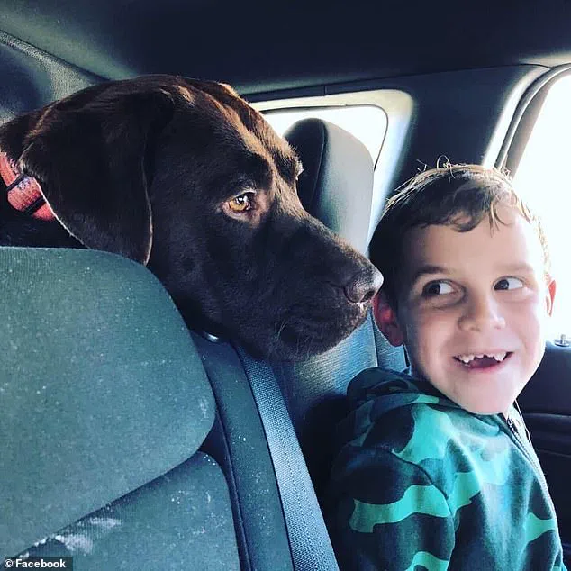 Tragedy in Mosman Park: Family of Four and Pets Found Dead in Murder-Suicide