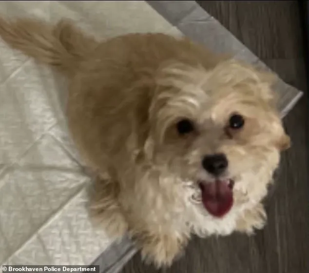 19-Year-Old Rapper Arrested Following Viral Video of Dog Abuse on Twitch Stream