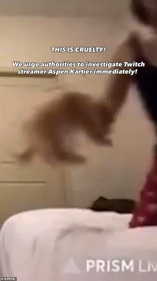 19-Year-Old Rapper Arrested Following Viral Video of Dog Abuse on Twitch Stream