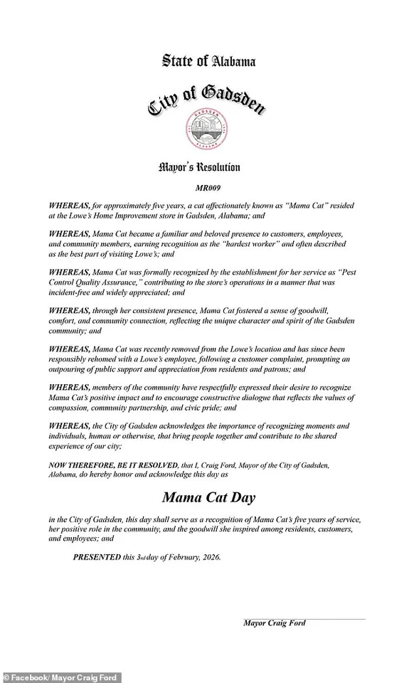 Beloved 'Mama Cat' Removed from Lowe's Job, Sparking Outrage and Growing Movement to Reverse Decision