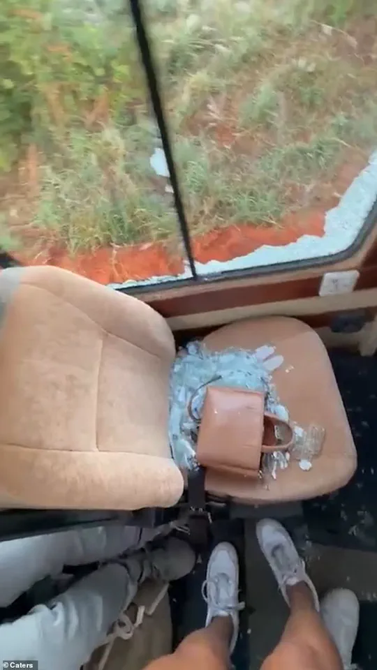From Tranquility to Terror: The Safari Truck's Hair-Raising Encounter with a Charging Elephant