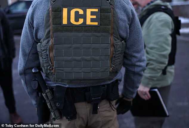 ICE Agents' Embedded Struggle: Cold, Long Shifts, and Activist Confrontations Amid Controversy
