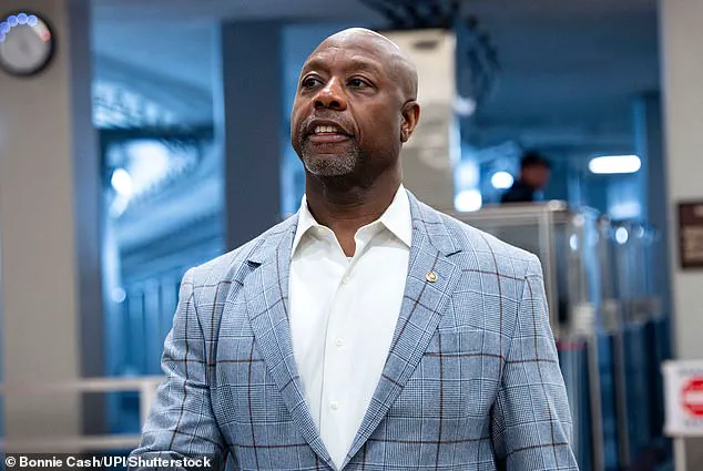 Trump Refuses to Apologize for Sharing Video Depicting Obamas as Apes Amid Bipartisan Condemnation