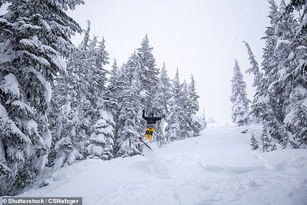 Snow Drought Crisis Forces Spokane Resorts to Limit Guest Access to Three Days a Week