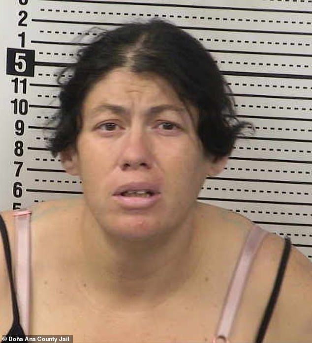 Newborn Baby Found Dead in Portable Toilet Chemical Tank; Mother Allegedly Abandoned Infant in New Mexico