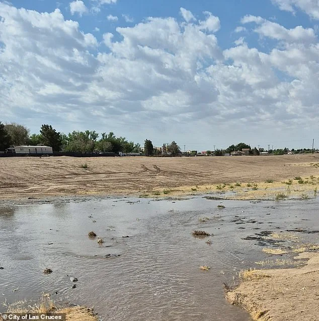 Newborn Baby Found Dead in Portable Toilet Chemical Tank; Mother Allegedly Abandoned Infant in New Mexico