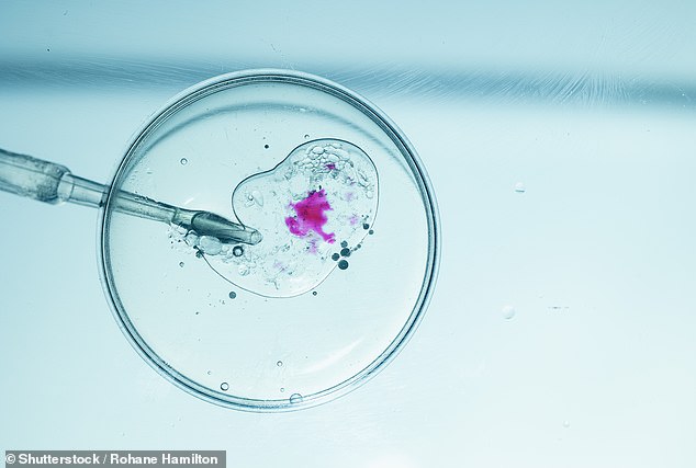 Donor Dan's $10K Luxury Sperm Donor Program Sparks Controversy Over Unregulated Fertility Industry